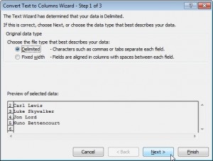 Text to Columns wizard step 1